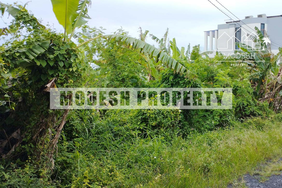 Land,Freehold Sale,1410