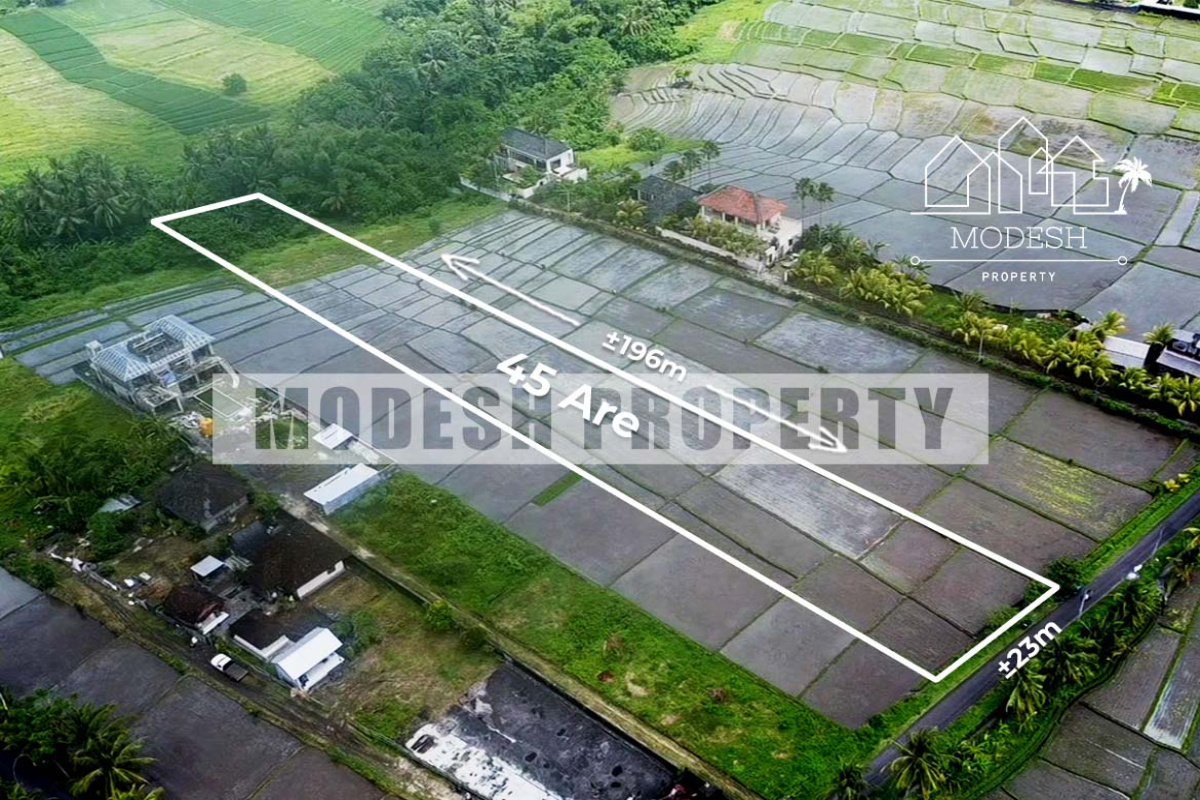 Land,Leasehold Sale,1411