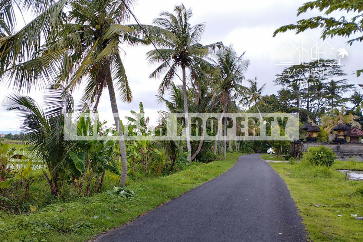 Land,Leasehold Sale,1411