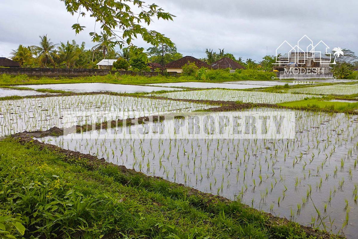 Land,Leasehold Sale,1411