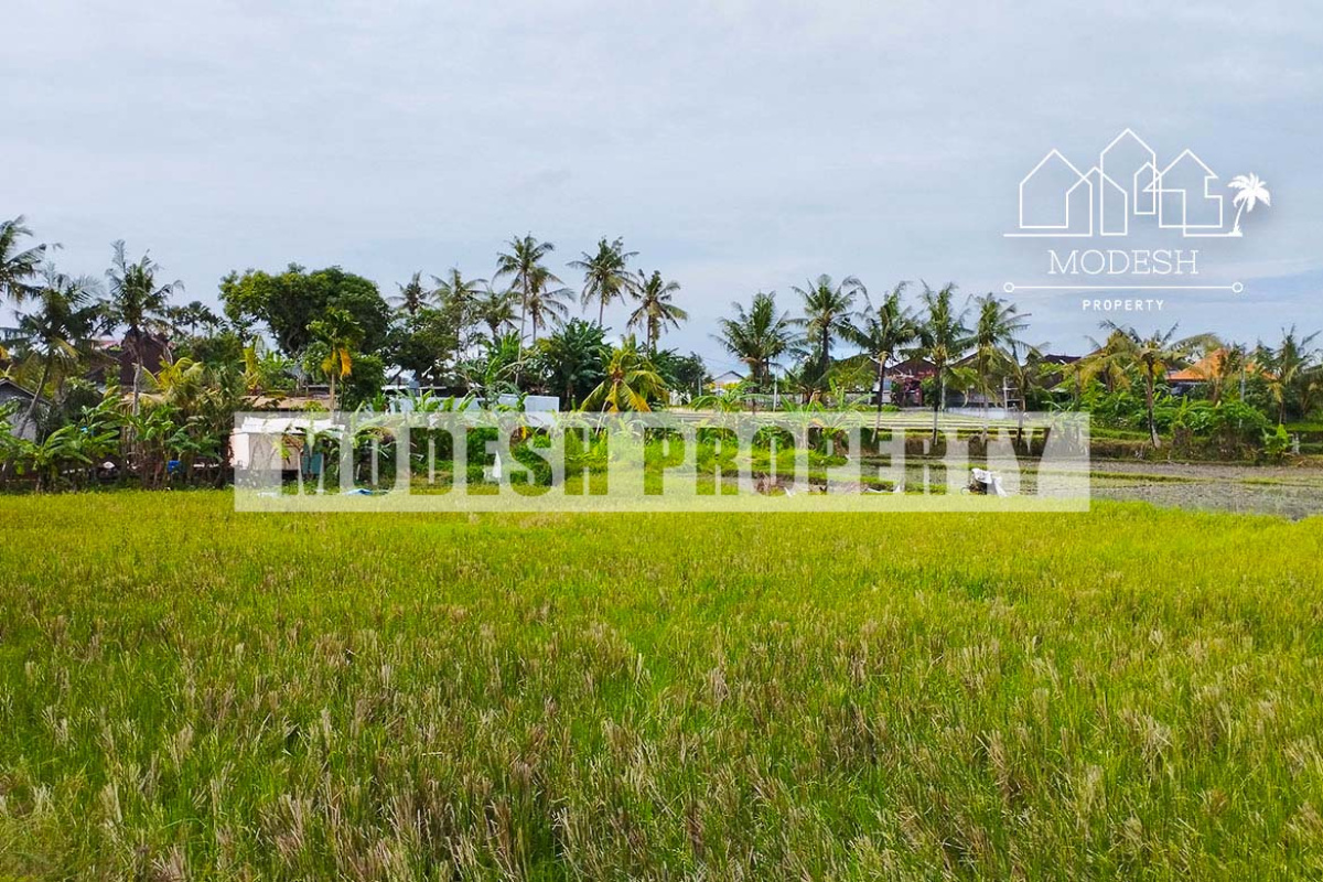 Land,Leasehold Sale,1413