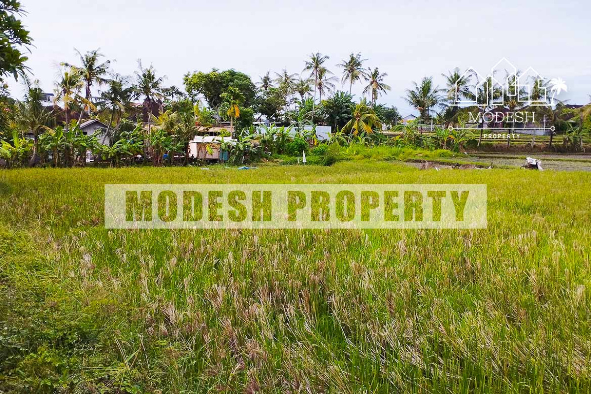 Land,Leasehold Sale,1413