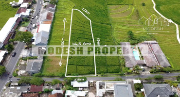 Land,Leasehold Sale,1414