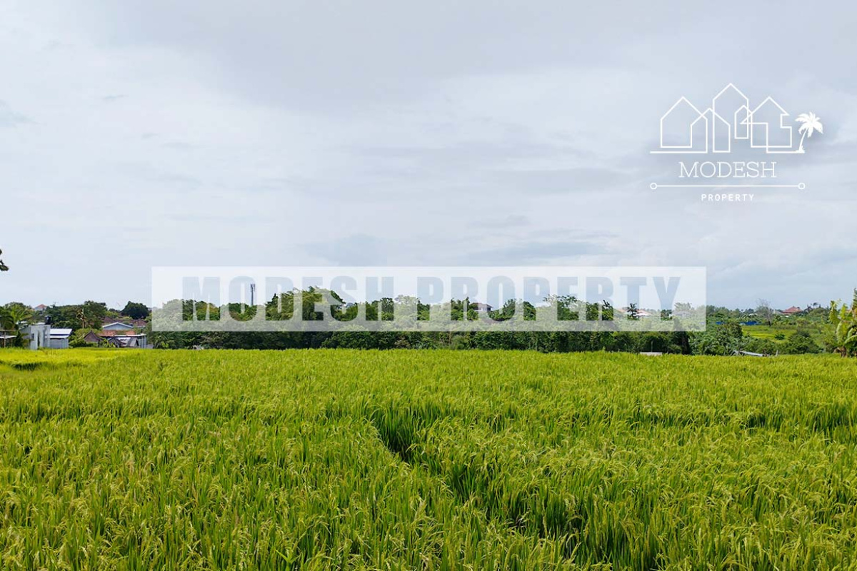 Land,Leasehold Sale,1414