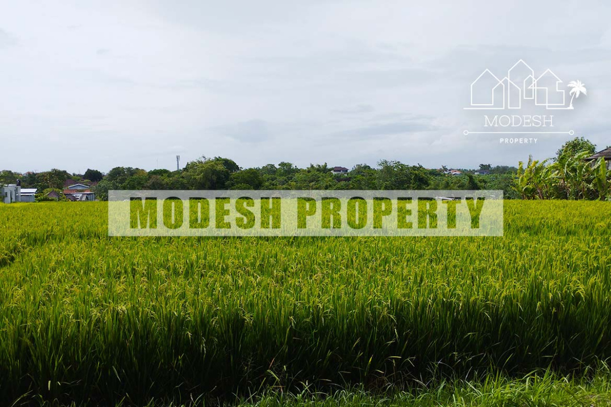 Land,Leasehold Sale,1414
