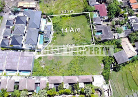 Land,Freehold Sale,1431