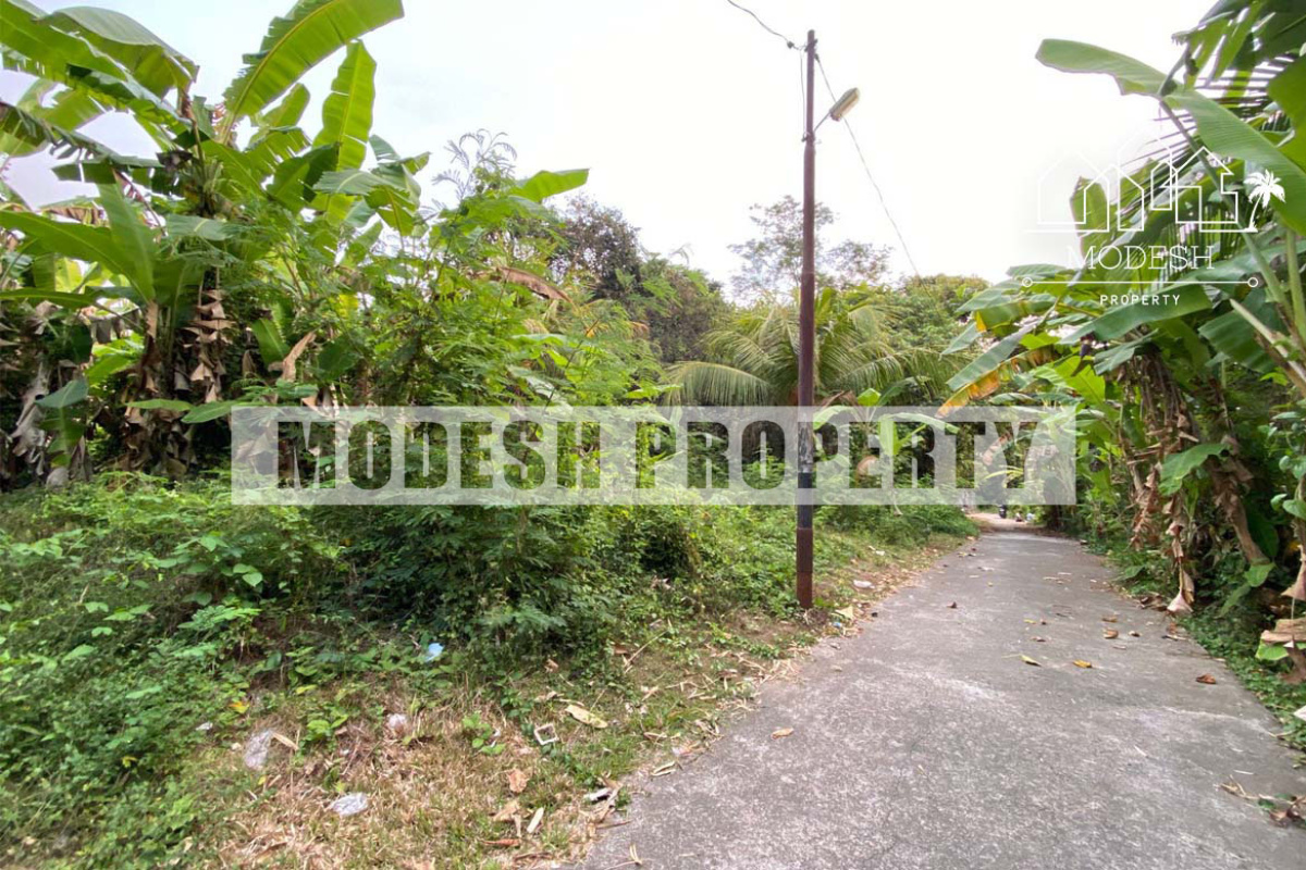 Land,Freehold Sale,1444