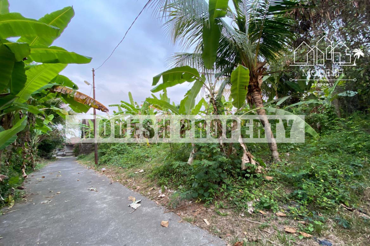Land,Freehold Sale,1444