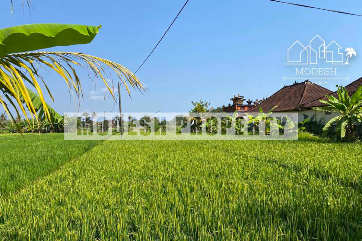 Land,Freehold Sale,1451