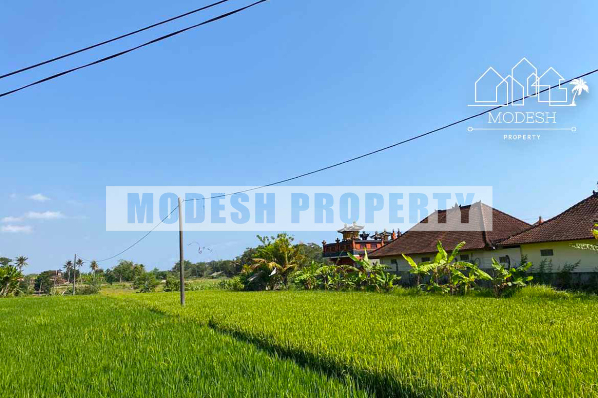 Land,Freehold Sale,1451