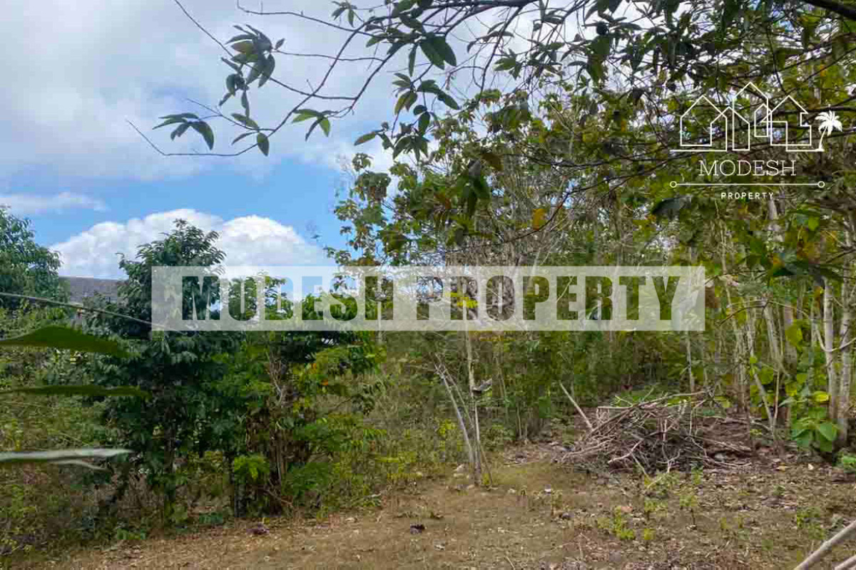 Land,Freehold Sale,1461