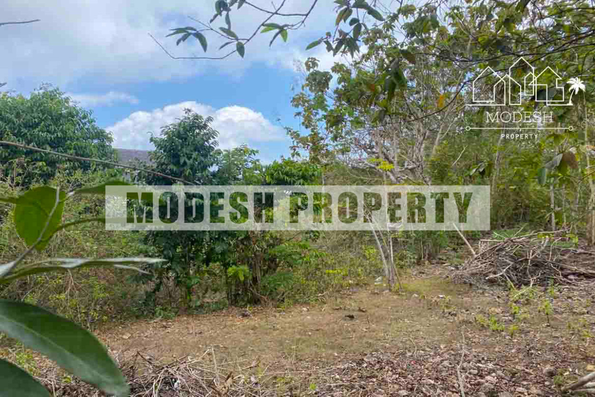 Land,Freehold Sale,1461