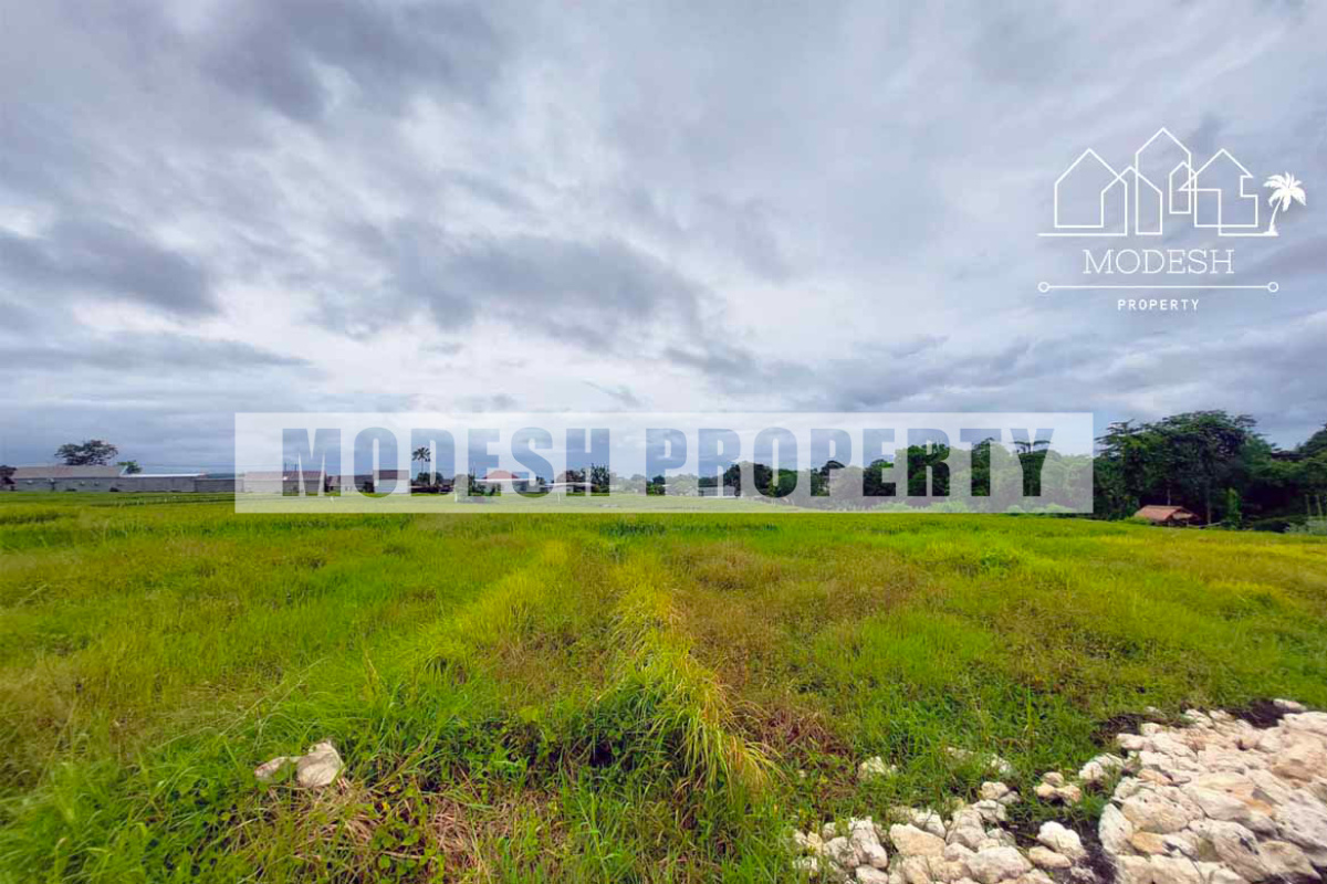 2 Bedrooms Bedrooms, ,2 BathroomsBathrooms,Villa,Leasehold Sale,1462