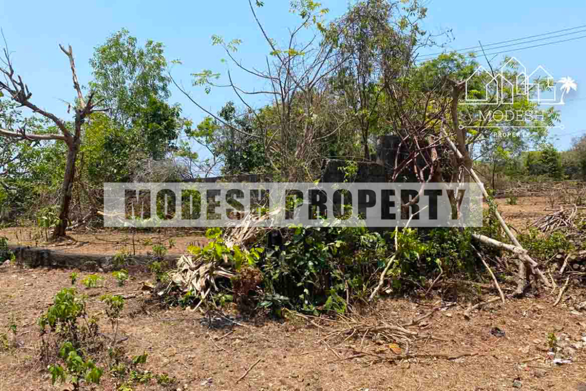 Land,Freehold Sale,1465