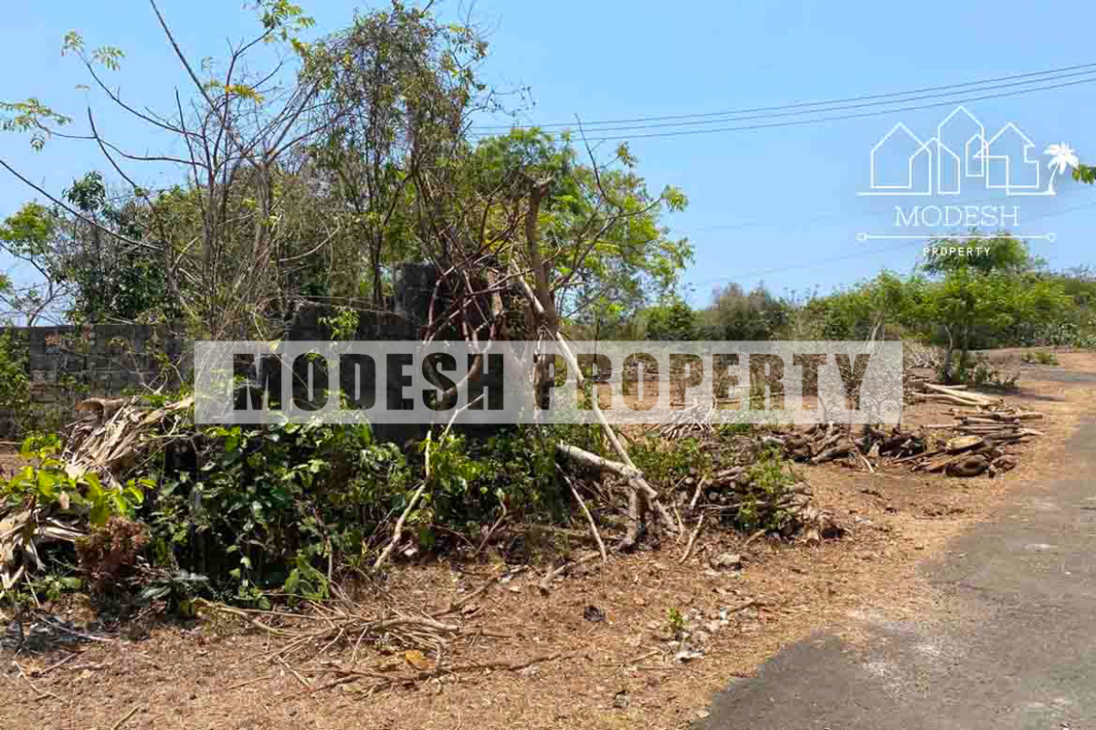 Land,Freehold Sale,1465