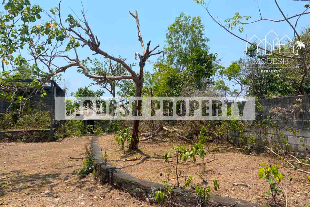 Land,Freehold Sale,1465