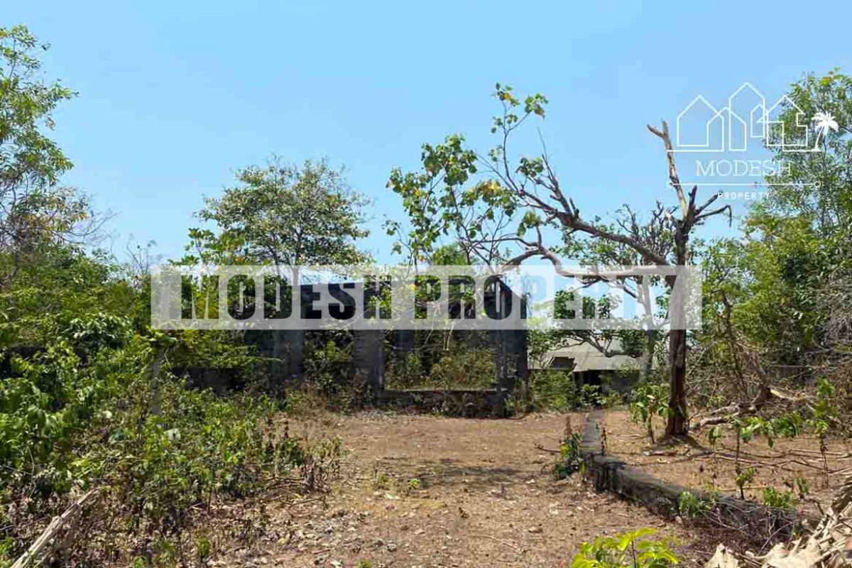 Land,Freehold Sale,1465