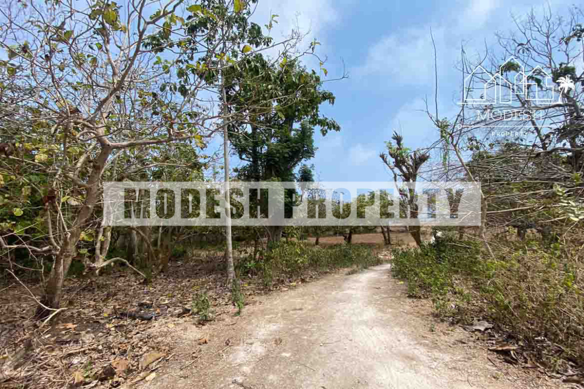 Land,Leasehold Sale,1466