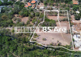 Land,Leasehold Sale,1466