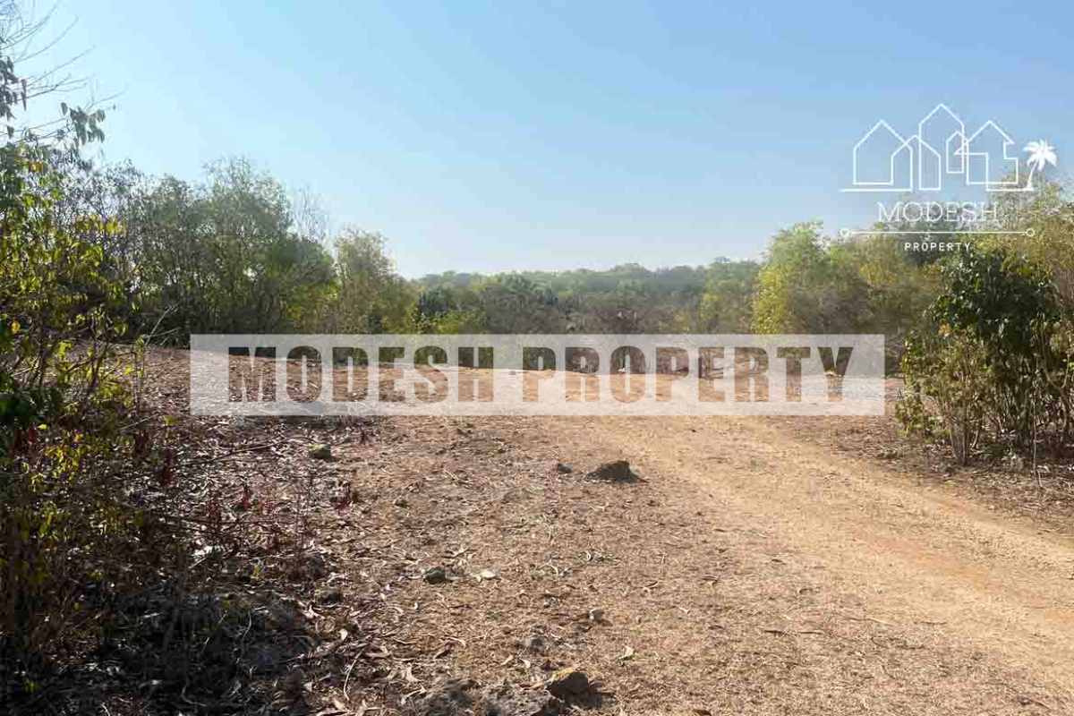 Land,Freehold Sale,1467