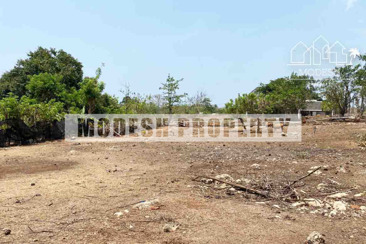 Land,Leasehold Sale,1477