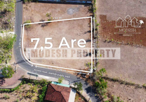 Land,Leasehold Sale,1480