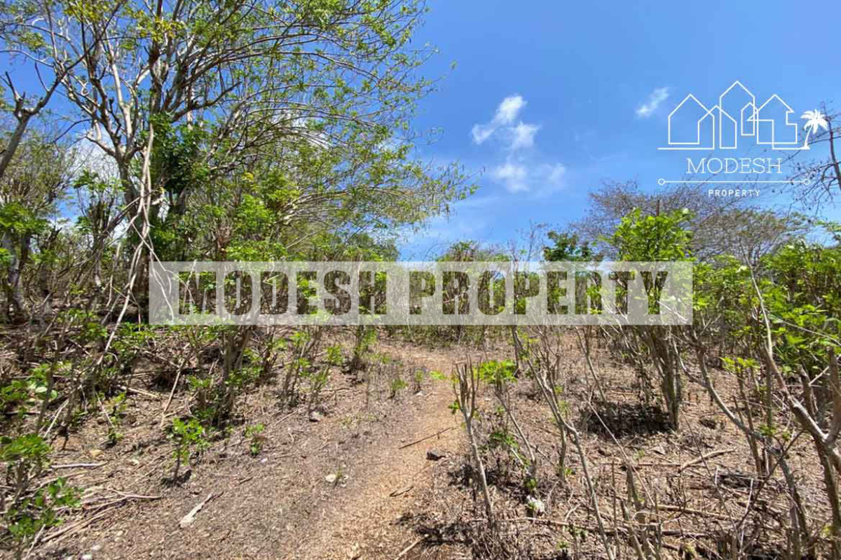 Land,Leasehold Sale,1514