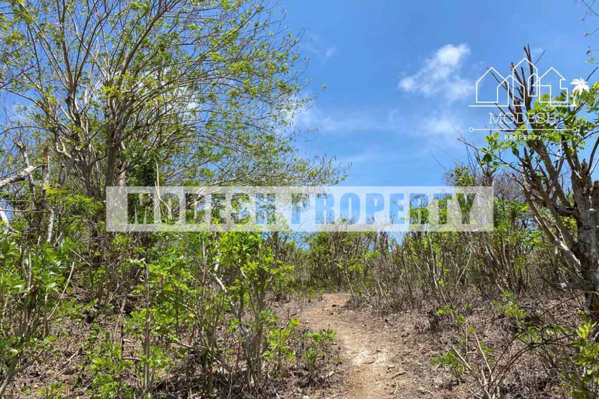 Land,Leasehold Sale,1514