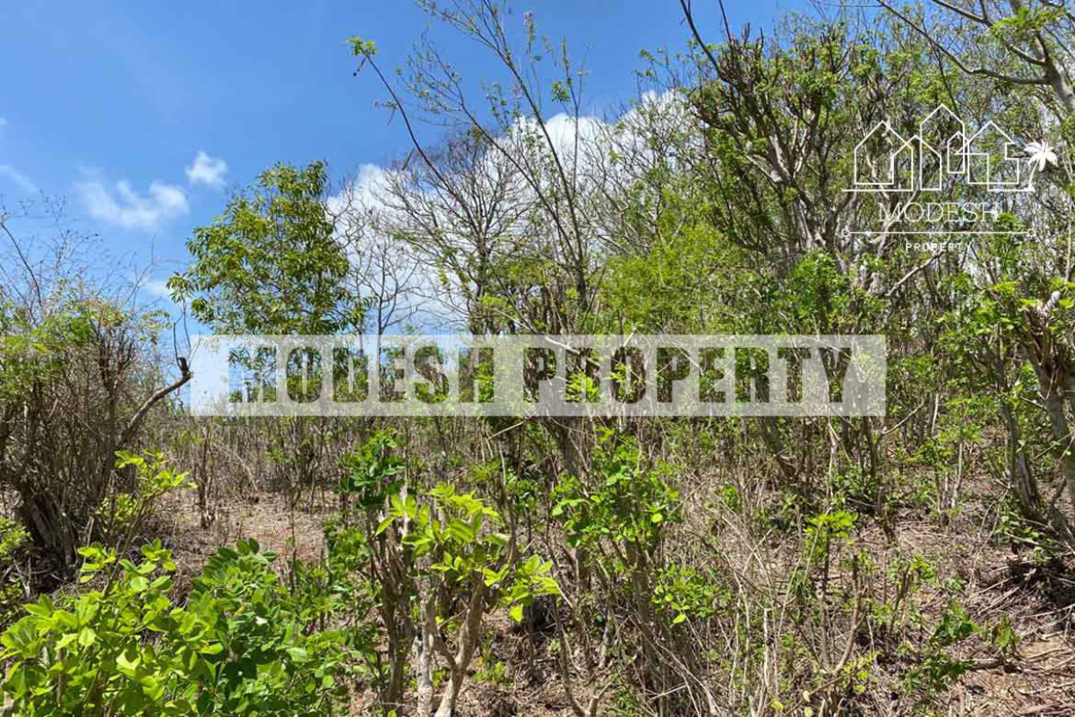 Land,Leasehold Sale,1514