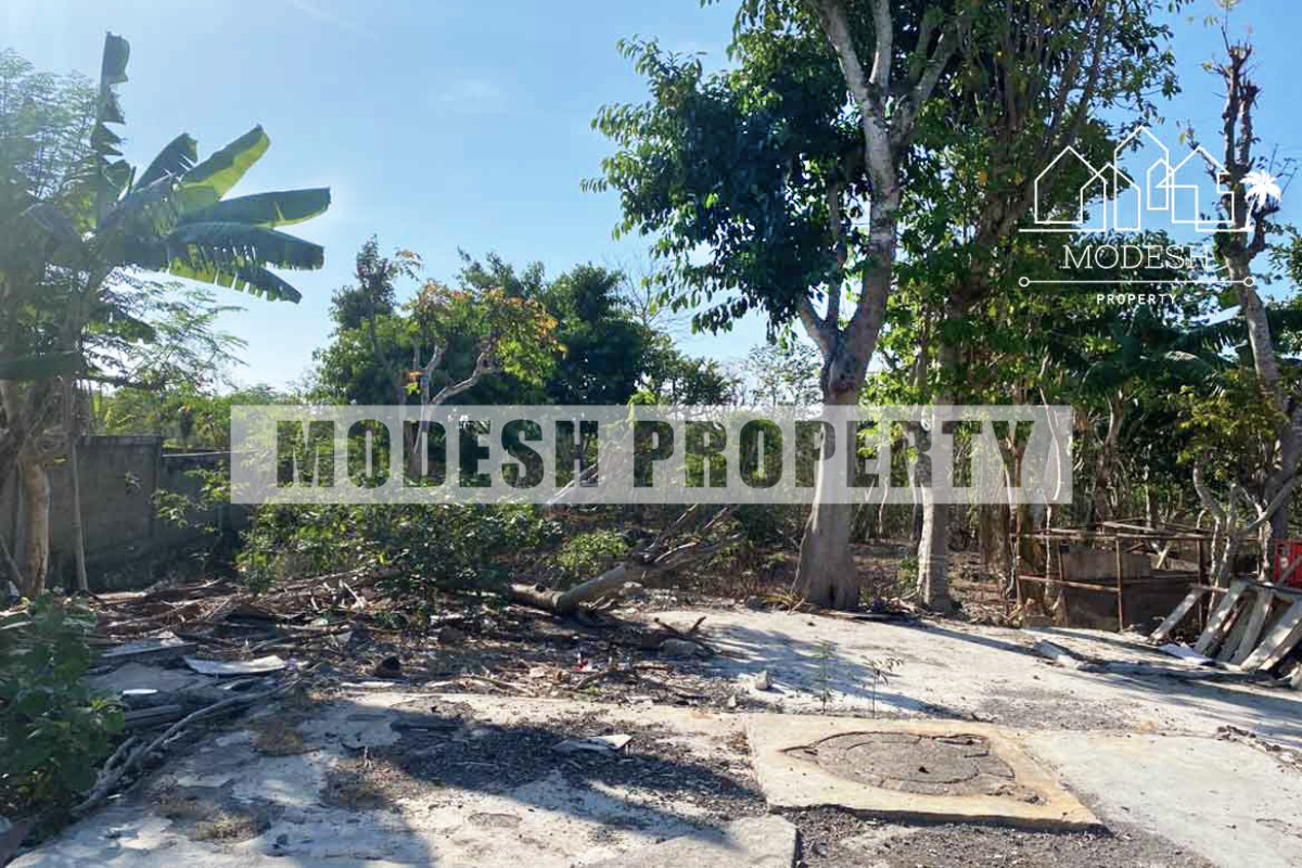 Land,Leasehold Sale,1515