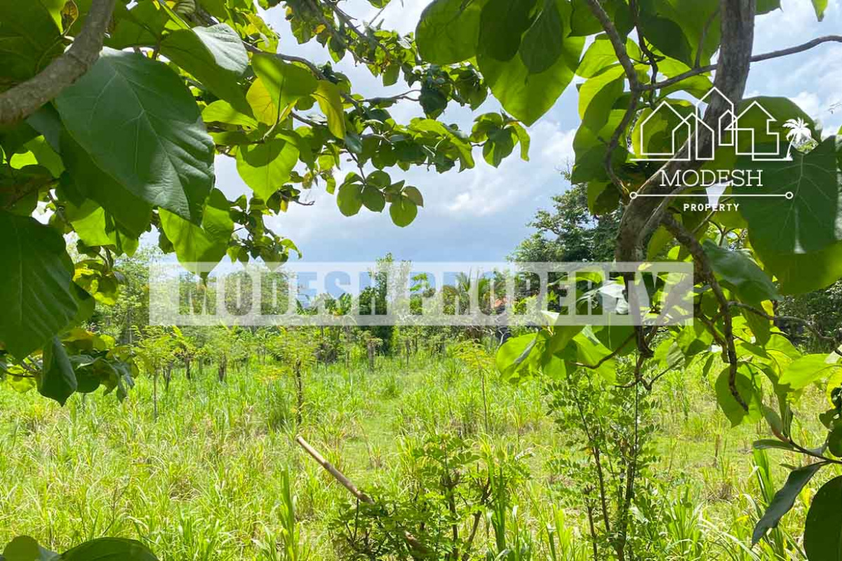 Land,Leasehold Sale,1535