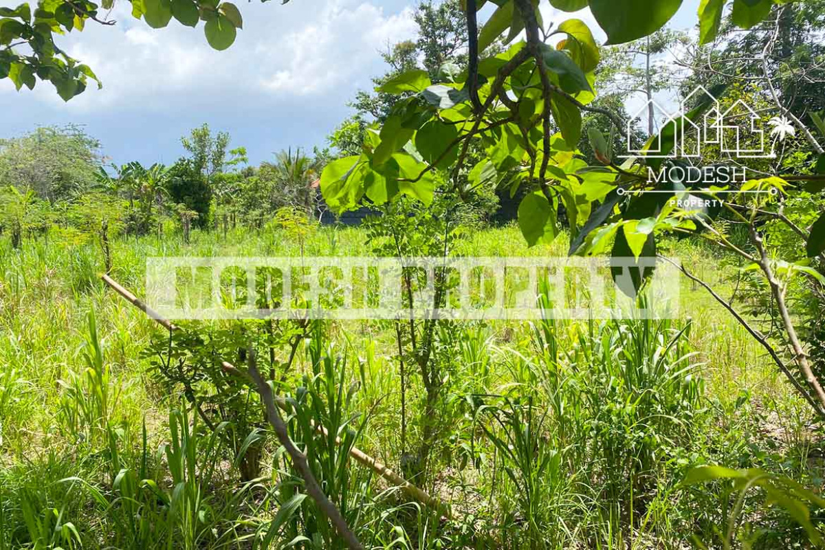 Land,Leasehold Sale,1535