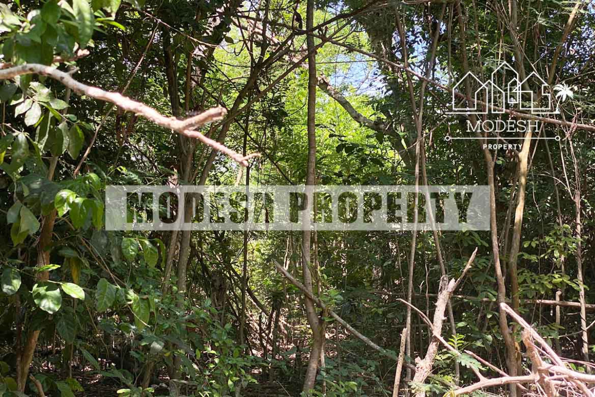 Land,Leasehold Sale,1543