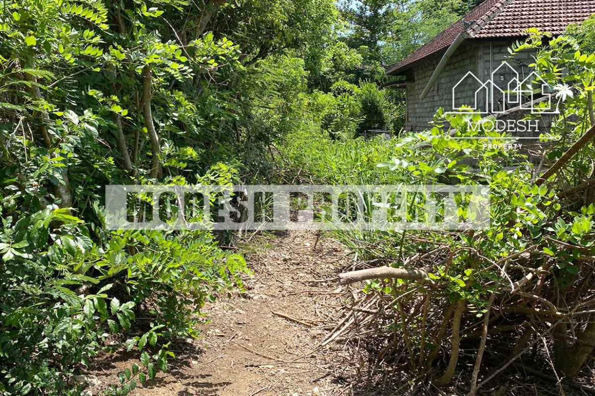 Land,Leasehold Sale,1543