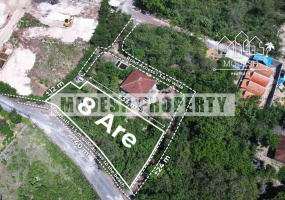Land,Leasehold Sale,1543