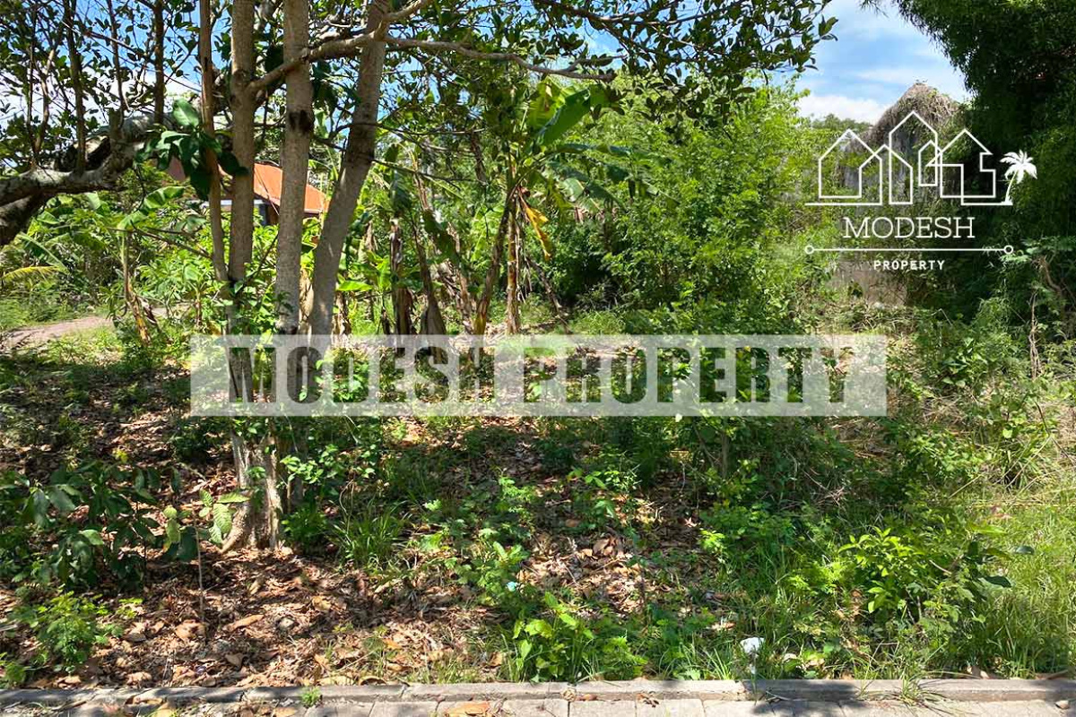 Land,Leasehold Sale,1545
