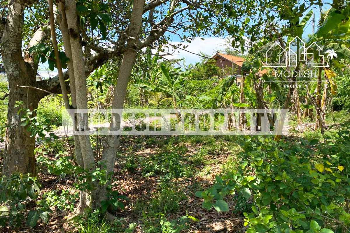 Land,Leasehold Sale,1545