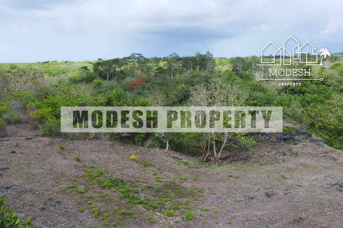 Land,Freehold Sale,1561