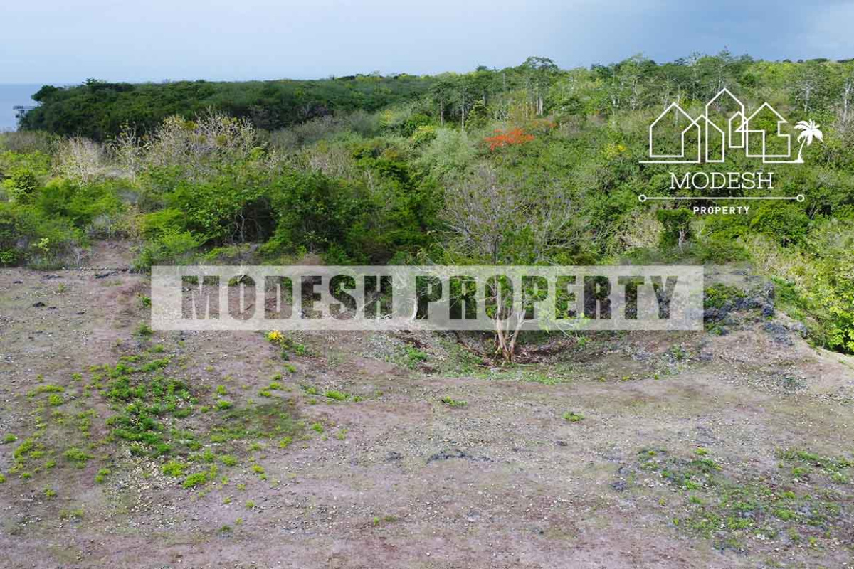 Land,Freehold Sale,1561