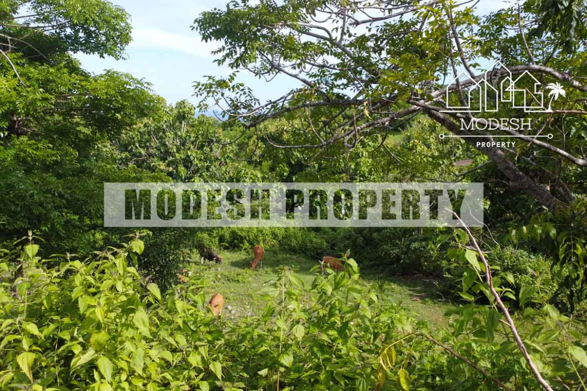 Land,Freehold Sale,1562