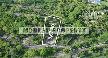 Land,Freehold Sale,1562