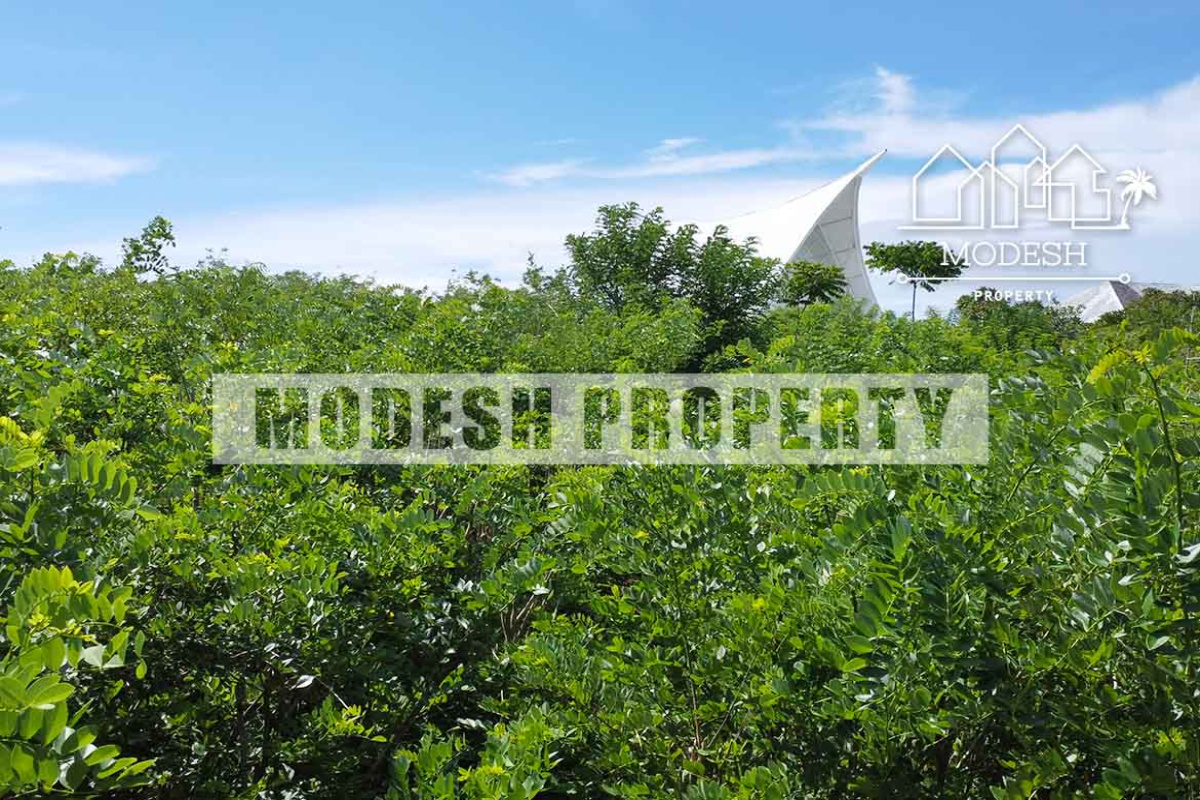 Land,Leasehold Sale,1563