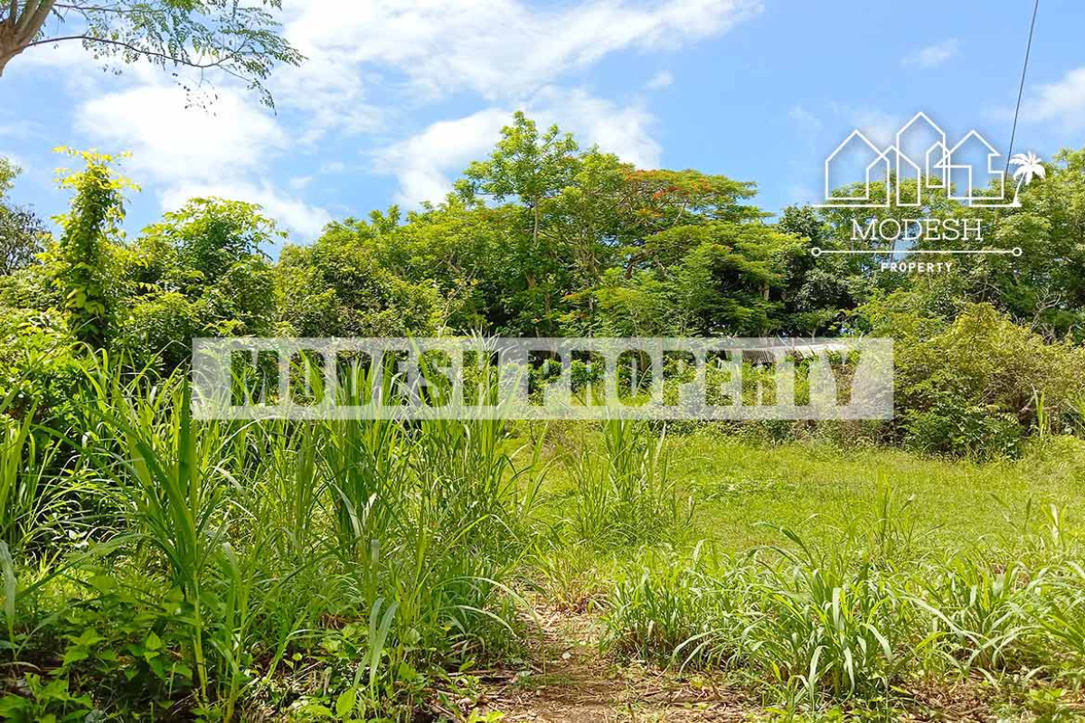 Land,Leasehold Sale,1564