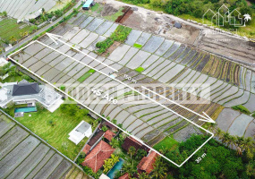 Land,Leasehold Sale,1051