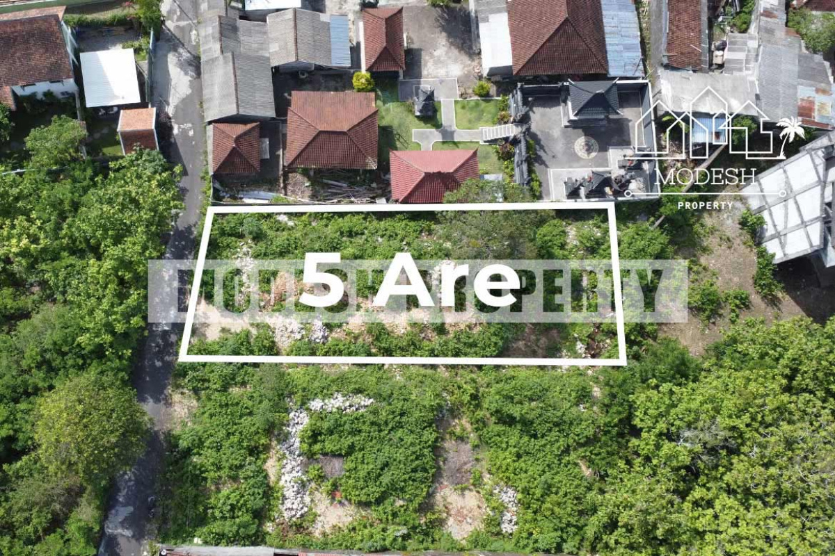 Land,Leasehold Sale,1565