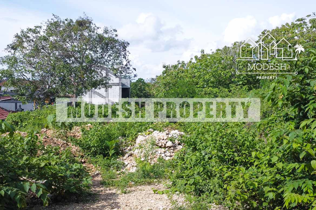 Land,Leasehold Sale,1565