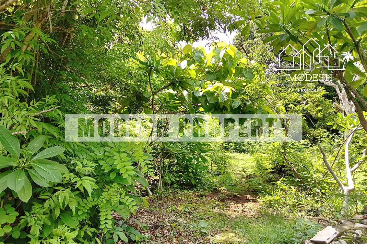 Land,Leasehold Sale,1566