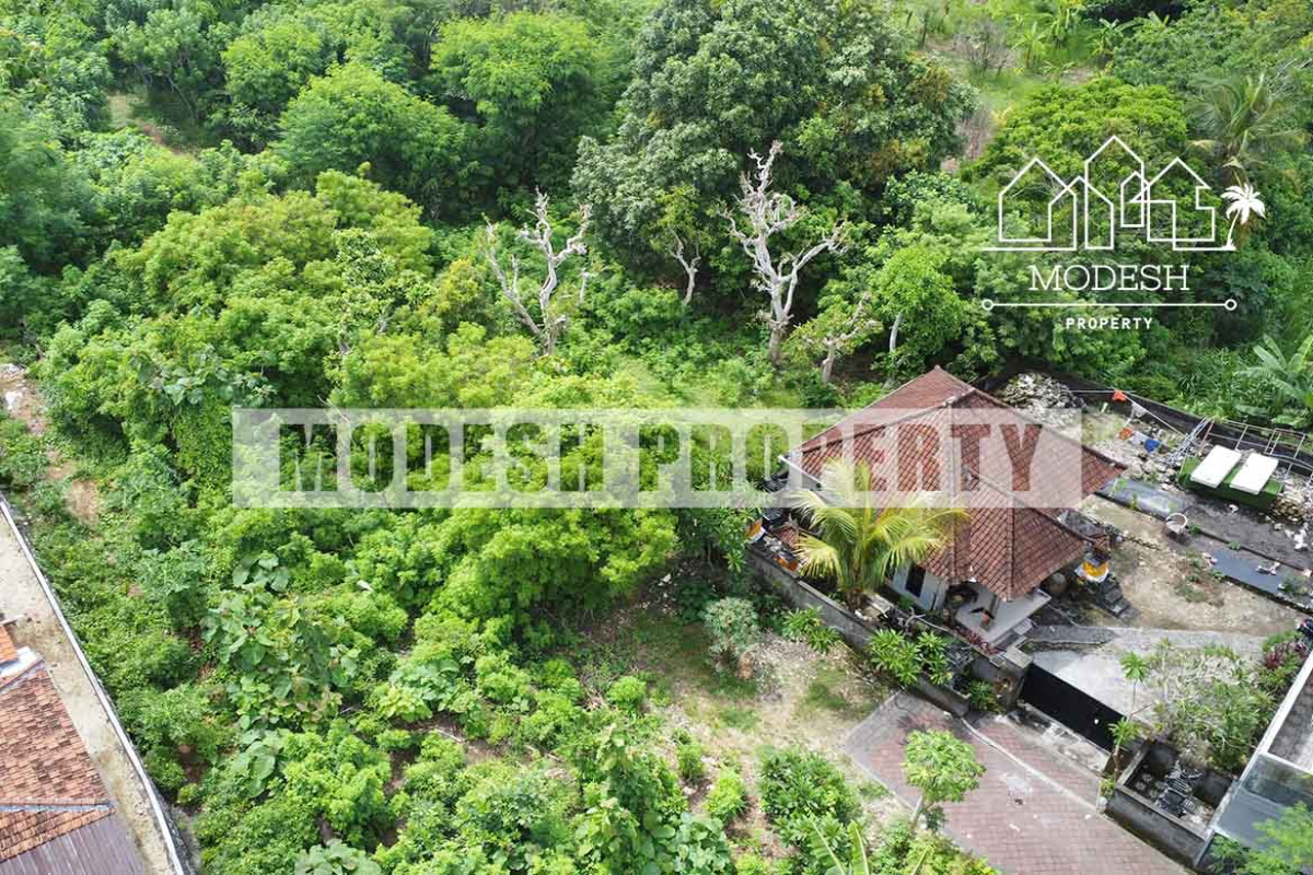 Land,Leasehold Sale,1566