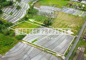 Land,Leasehold Sale,1052