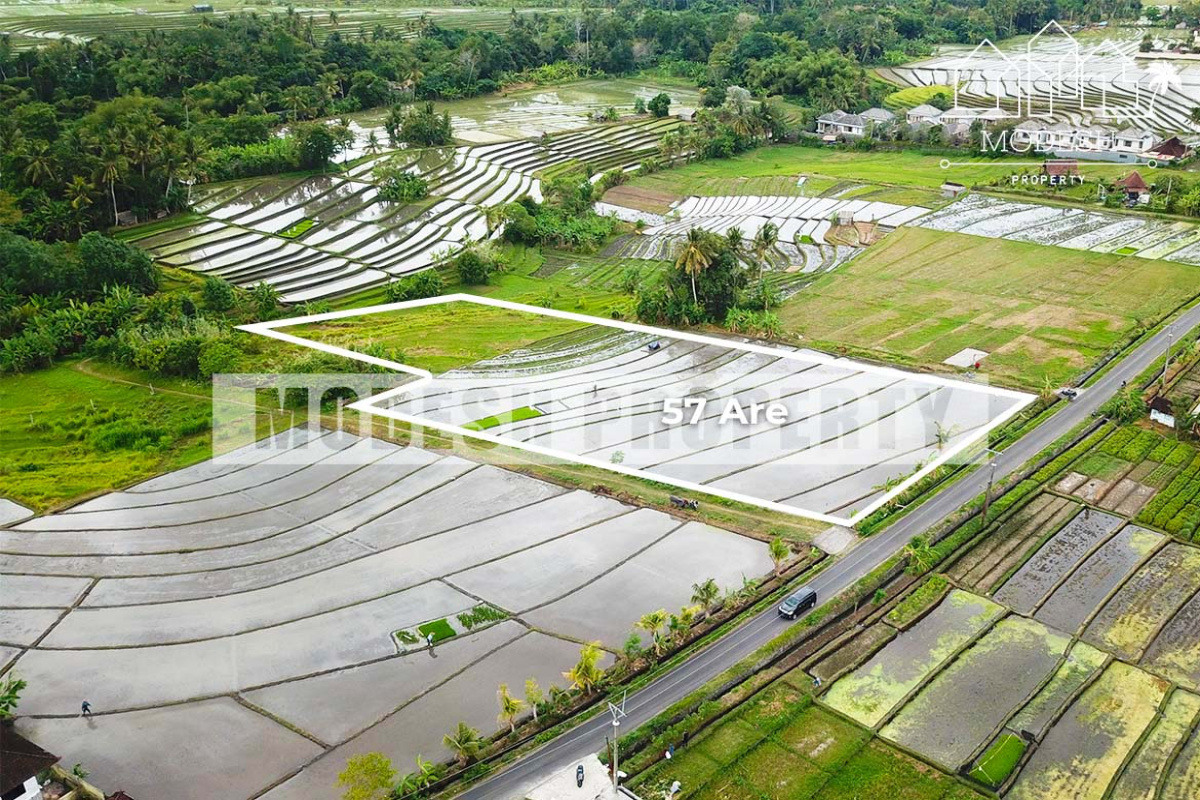 Land,Leasehold Sale,1052